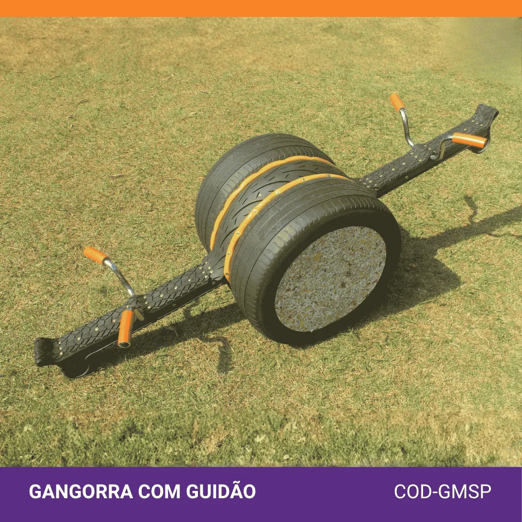 Gangorra modular com guidão