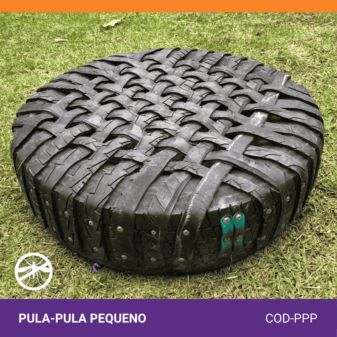 Pula-pula pequeno
